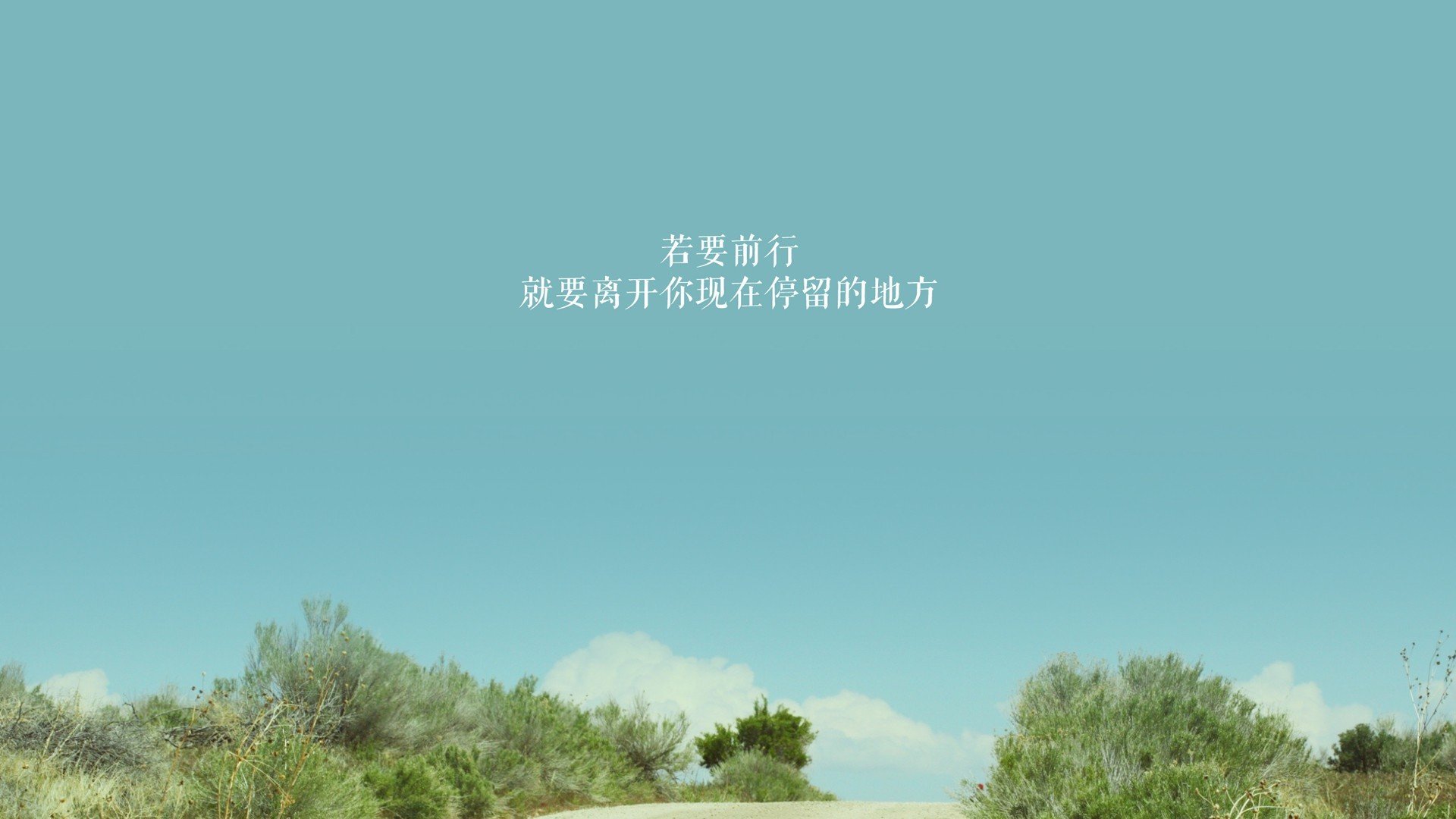 “全场焦点：明星球员的精彩表现点燃现场气氛”，明星球员图片