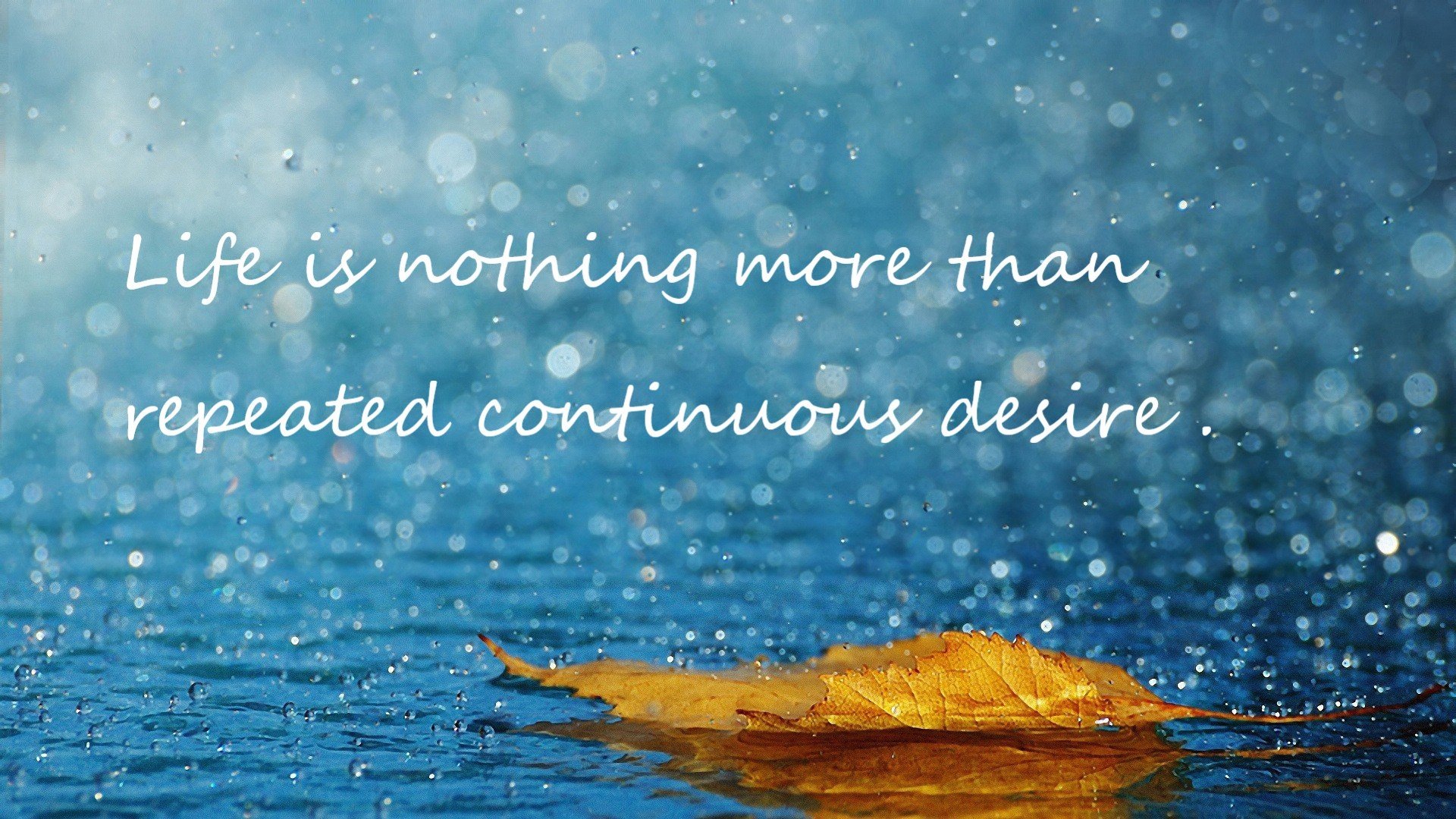 北京首钢调整阵容,提升球队竞争力,北京首钢今年阵容