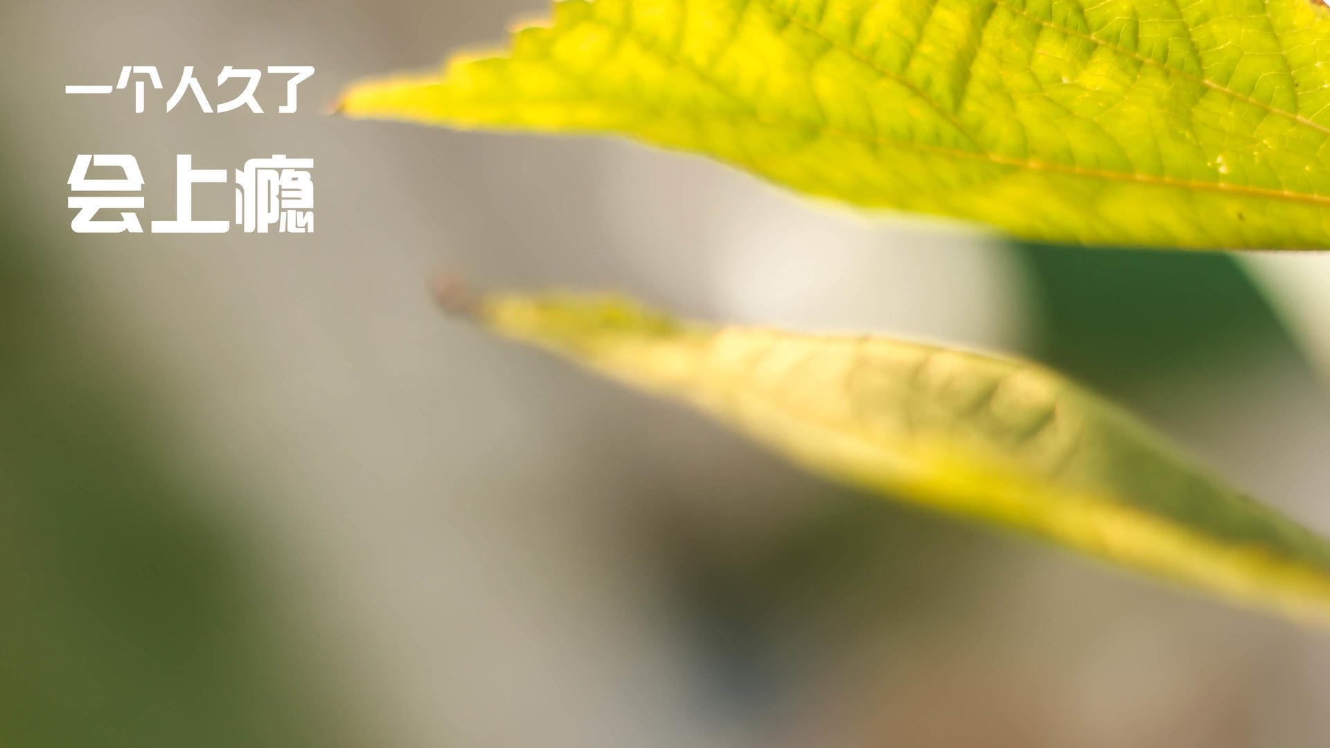 篮球运动员训练计划科学化管理与实施效果，篮球运动员训练计划科学化管理与实施效果分析