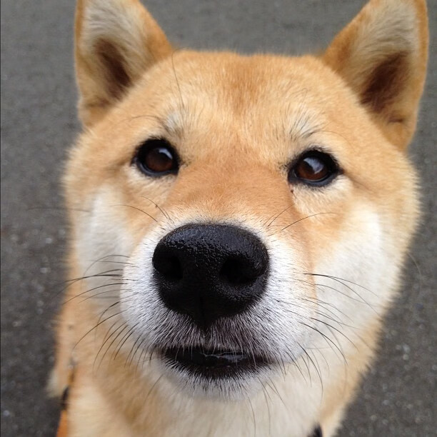 覃海洋沉着冷静逆转对手赢得胜利，覃海洋的微博