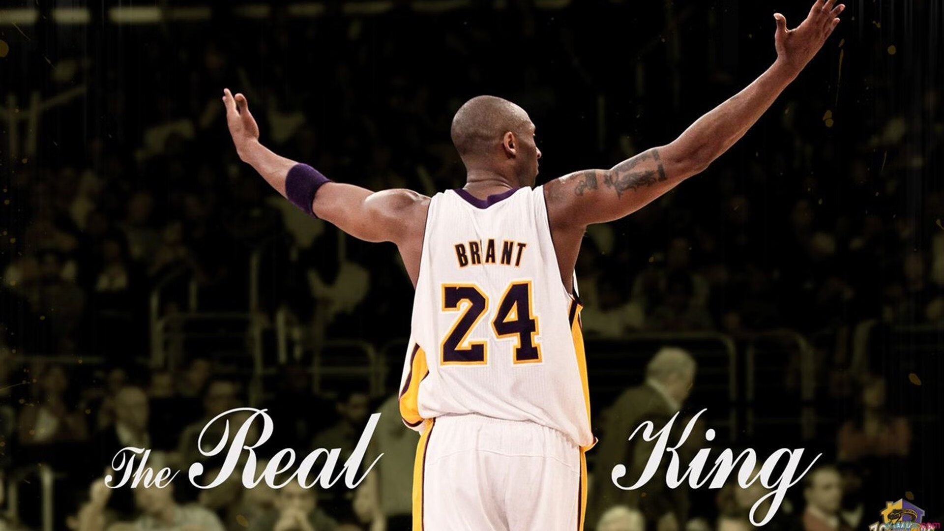 传统摔跤表演，传承文化展现力量，传统摔跤基本功